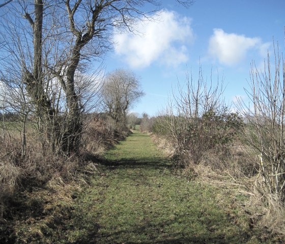 Een smal graspad leidt door een winters landschap van kale bomen en struiken onder een blauwe hemel met witte wolken., © Touristik GmbH Gerolsteiner Land, Ute Klinkhammer Een smal graspad leidt door een winters landschap van kale bomen en struiken onder een blauwe hemel met witte wolken., © Touristik GmbH Gerolsteiner Land, Ute Klinkhammer