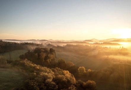 Weitläufige herbstliche Waldlandschaft bei Sonnenaufgang., © Eifel Tourismus GmbH, Dominik Ketz Weitläufige dunkle Waldlandschaft wird mit Sonnenstrahlen des Sonnenaufgangs beleuchtet.