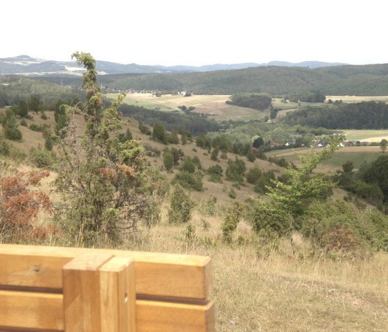 Wacholder Heide bei Niederehe Wacholder Heide bei Niederehe