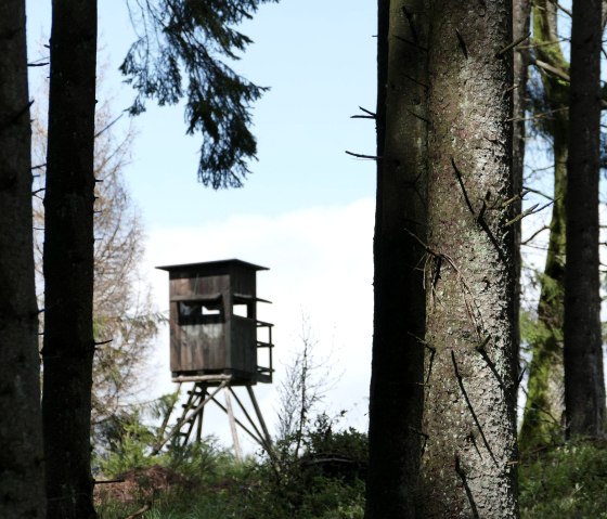 Natur, © Tiemo Wolff Natur, © Tiemo Wolff