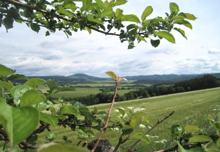 Ausblick Leudersdorf, © Touristik GmbH Gerolsteiner Land, Ute Klinkhammer Ausblick Leudersdorf, © Touristik GmbH Gerolsteiner Land, Ute Klinkhammer
