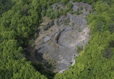 Arensberg, © Regnery Arensberg, © Regnery