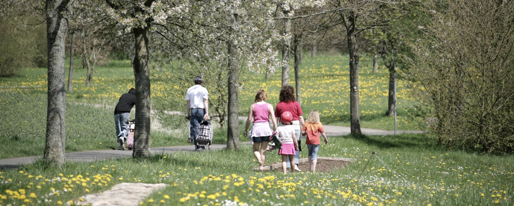 Bolsd. Tälchen, © Touristik GmbH Gerolsteiner Land - Regnery Bolsd. Tälchen, © Touristik GmbH Gerolsteiner Land - Regnery