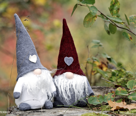 Musterbild Wichtelpfad, © Canva Musterbild Wichtelpfad, © Canva