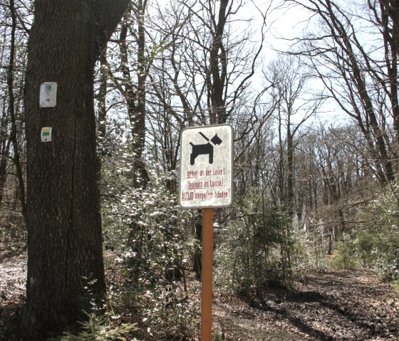 The Eifelsteig leads to the High Fens in Belgium, © Eifel Tourismus The Eifelsteig leads to the High Fens in Belgium, © Eifel Tourismus