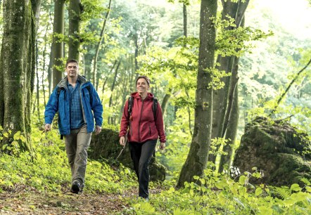 Wandern, © Eifel Tourismus GmbH, Dominik Ketz Wandern, © Eifel Tourismus GmbH, Dominik Ketz