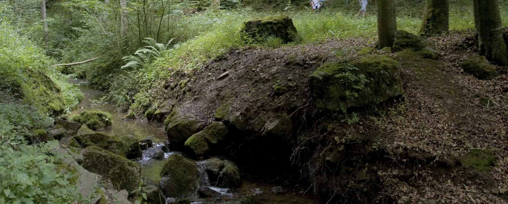 Eifelsteig Eifelsteig