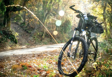 Bicycle parked at the edge of a forest path.
, © Pixabay A bicycle with lots of luggage is parked at the edge of a forest path in autumnal weather.