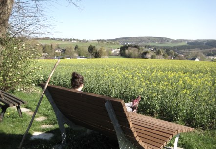 Een persoon zit op een bankje voor een bloeiend koolzaadveld met uitzicht op een heuvelachtig landschap onder een heldere hemel., © Touristik GmbH Gerolsteiner Land Een persoon zit op een bankje voor een bloeiend koolzaadveld met uitzicht op een heuvelachtig landschap onder een heldere hemel., © Touristik GmbH Gerolsteiner Land
