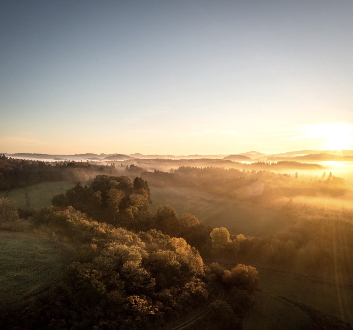 Vast autumnal forest landscape at sunrise
, © Eifel Tourismus GmbH, Dominik Ketz Vast dark forest landscape illuminated by the rays of the rising sun.