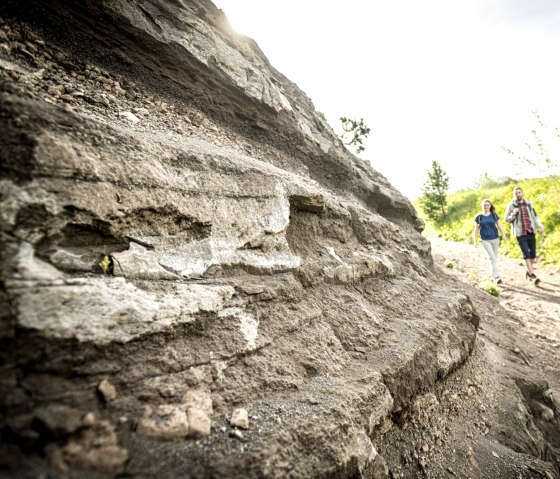 Wanderung Vulkan-Pfad: Vulkangestein am Steffelnkopf, © Eifel Tourismus GmbH, D. Ketz Wanderung Vulkan-Pfad: Vulkangestein am Steffelnkopf, © Eifel Tourismus GmbH, D. Ketz