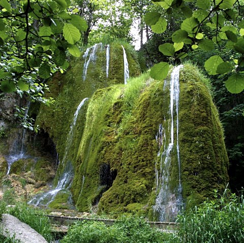 Der Dreimühlen Wasserfall zwischen grünen Bäumen., © Thomas Regnery Der Dreimühlen Wasserfall in der Mitte zwischen dichten Gräsern und grünen Bäumen.