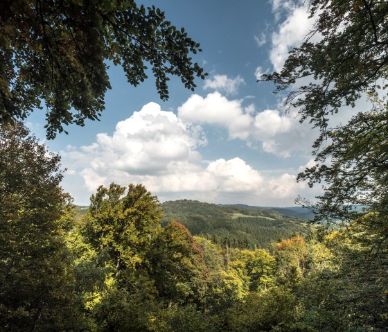 Blick auf eine bewaldete Landschaft mit Hügeln unter einem blauen Himmel mit weißen Wolken. Die Bäume sind teils herbstlich gefärbt., © Eifel Tourismus GmbH, Dominik Ketz Blick auf eine bewaldete Landschaft mit Hügeln unter einem blauen Himmel mit weißen Wolken. Die Bäume sind teils herbstlich gefärbt., © Eifel Tourismus GmbH, Dominik Ketz