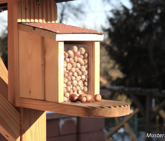 Wildtierhilfe Musterbild, © Canva Wildtierhilfe Musterbild, © Canva