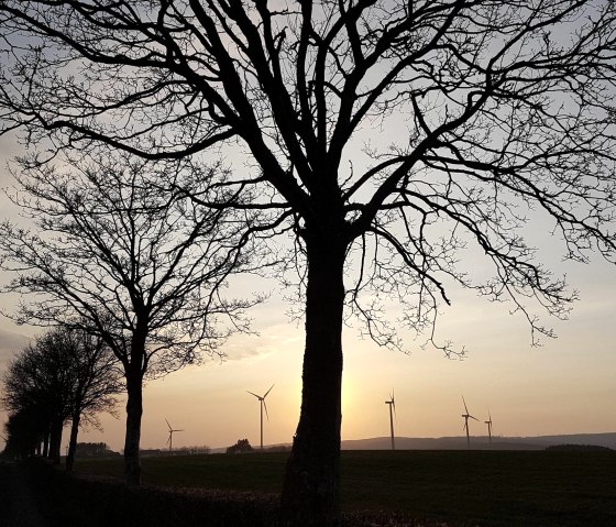 Auf den Höhen Hallschlag und Scheid Auf den Höhen Hallschlag und Scheid