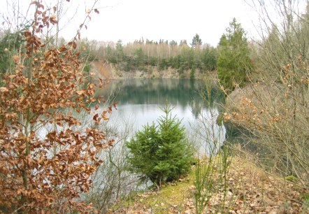 A calm lake surrounded by autumnal trees with brown leaves. A small fir tree stands in the foreground., © Touristik GmbH Gerolsteiner Land, Ute Klinkhammer A calm lake surrounded by autumnal trees with brown leaves. A small fir tree stands in the foreground., © Touristik GmbH Gerolsteiner Land, Ute Klinkhammer