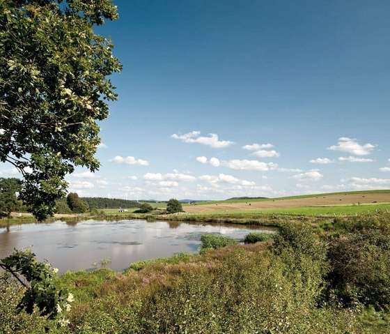 Blick aufs Eichholzmaar, © Eifel Tourismus GmbH, Dominik Ketz Blick aufs Eichholzmaar, © Eifel Tourismus GmbH, Dominik Ketz