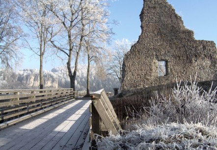 Löwenburg castle ruins
, © Touristik GmbH Gerolsteiner Land A castle ruin surrounded by icy trees and bushes that is only partially preserved. A wooden footbridge leads to the castle.