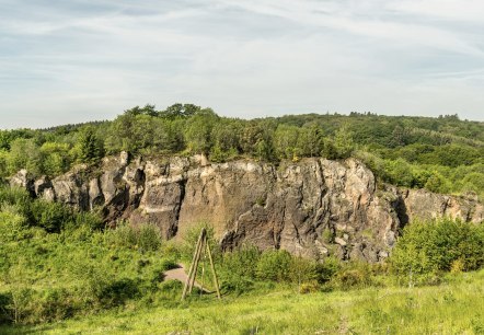 Rocky volcanic wall surrounded by green vegetation and flowering plants.
, © Eifel Tourismus GmbH, Dominik Ketz Rocky volcanic wall in a green landscape.