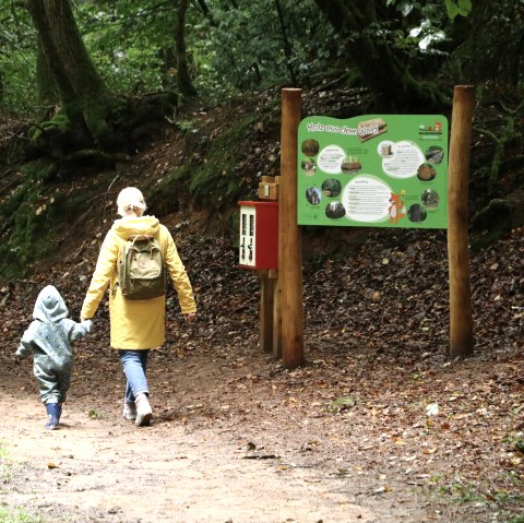 Mutter mit Kind auf dem Naturerlebnispfad Gerolstein
, © Thomas Langens Eine Mutter spaziert mit ihrem Kind an der Hand auf einem Waldweg neben einer Informationstafel des Naturerlebnispfades Gerolstein.