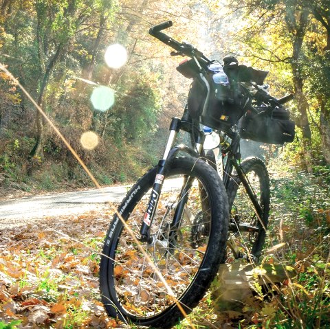 Fahrrad parkt am Rand eines Waldweges.
, © Pixabay Ein Fahrrad mit viel Gepäck parkt am Rand eines Waldweges bei herbstlichem Wetter.