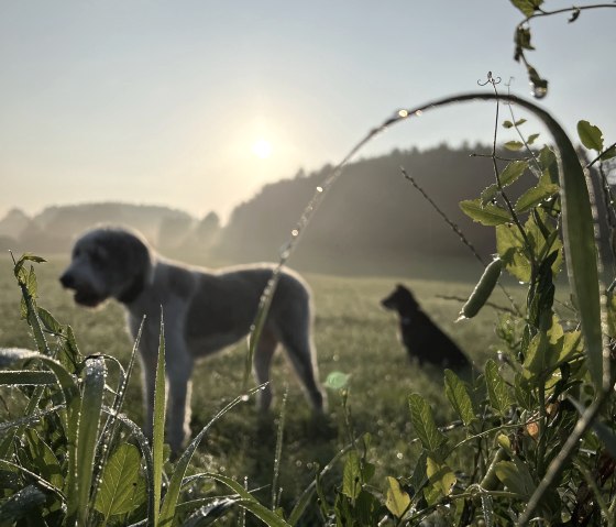 Lissi und Ellie Lissi und Ellie