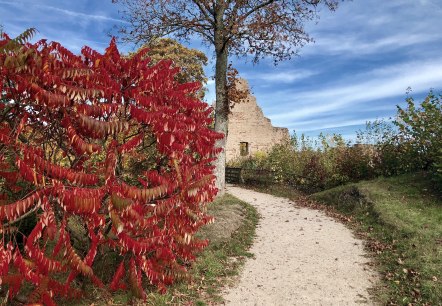 Löwenburg, © Touristik GmbH Gerolsteiner Land Löwenburg, © Touristik GmbH Gerolsteiner Land