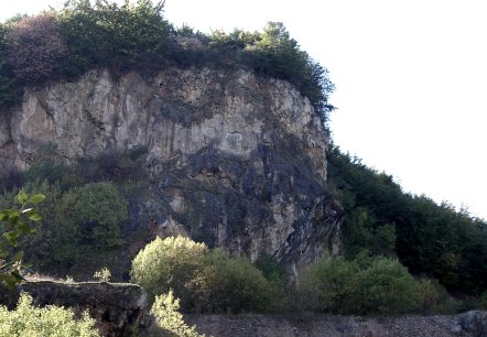 Weinberg (1), © Schmitz Weinberg (1), © Schmitz