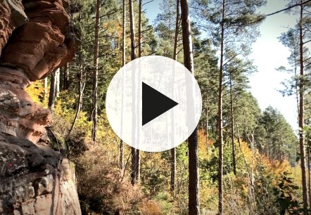 Felsformation im Wald auf der Stauseerunde Gerolstein mit Video-Playbutton im Vordergrund., © Touristik GmbH Gerolsteiner Land Felsformation im Wald auf der Stauseerunde Gerolstein mit Video-Playbutton im Vordergrund.