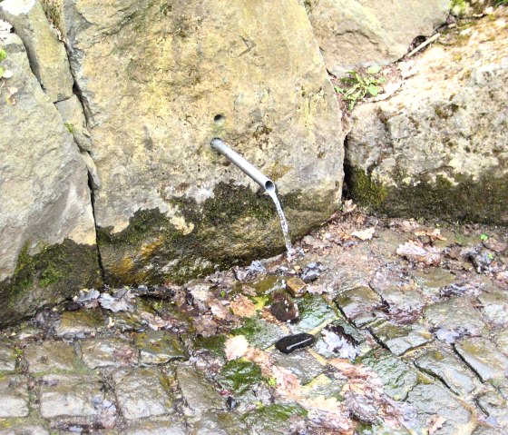 Fischbach Drees, © Touristik GmbH Gerolsteiner Land, Ute Klinkhammer Fischbach Drees, © Touristik GmbH Gerolsteiner Land, Ute Klinkhammer