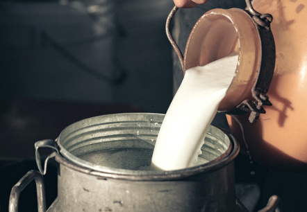 Milchherstellung, © canva Milchherstellung, © canva