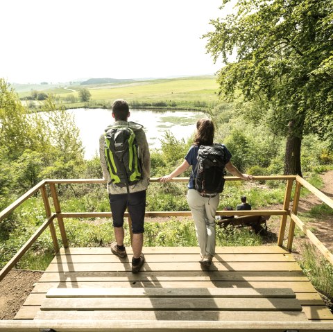ET-2019-354-Vulcanpfad, Eichholzmaar ©, © Eifel Tourismus GmbH, Dominik Ketz ET-2019-354-Vulcanpfad, Eichholzmaar ©, © Eifel Tourismus GmbH, Dominik Ketz