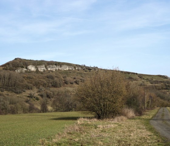 Ein Hügel mit Felsen und spärlicher Vegetation unter einem klaren blauen Himmel. Im Vordergrund sind Bäume und Gras zu sehen., © Touristik GmbH Gerolsteiner Land, Ute Klinkhammer Ein Hügel mit Felsen und spärlicher Vegetation unter einem klaren blauen Himmel. Im Vordergrund sind Bäume und Gras zu sehen., © Touristik GmbH Gerolsteiner Land, Ute Klinkhammer