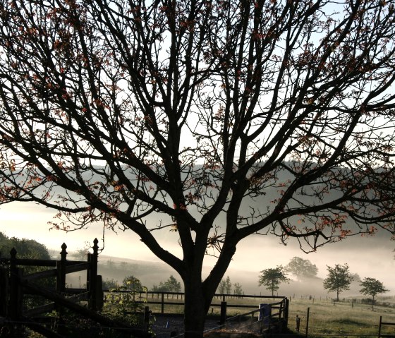 Ausblick ins Tal Ausblick ins Tal
