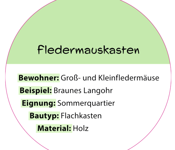 Information sign "Bat box", © hochkant Information sign "Bat box"