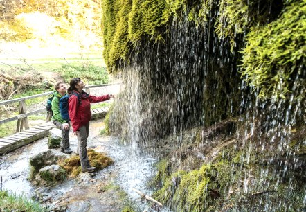 Zwei Personen betrachten den moosbedeckten Wasserfall in der grünen Waldlandschaft. Ein Holzsteg führt über den Bach., © Eifel Tourismus GmbH - Dominik Ketz Zwei Personen betrachten den moosbedeckten Wasserfall in der grünen Waldlandschaft. Ein Holzsteg führt über den Bach., © Eifel Tourismus GmbH - Dominik Ketz