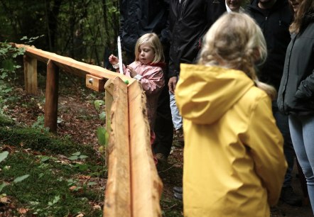 Junge spielt an der Waldkugelbahn Gerolstein
, © Thomas Langens Ein Junge läuft neben einer Holzbahn, auf der eine bunte Kugel rollt, durch einen Wald.