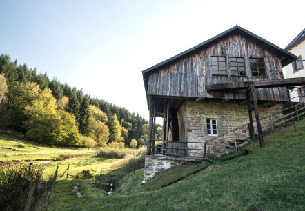 Hinterbüsch path: Cutting mill near Meisburg, © Eifel Tourismus GmbH/D.Ketz Hinterbüsch path: Cutting mill near Meisburg, © Eifel Tourismus GmbH/D.Ketz