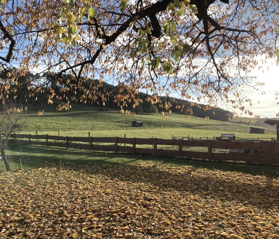 Der Garten im Herbst Der Garten im Herbst