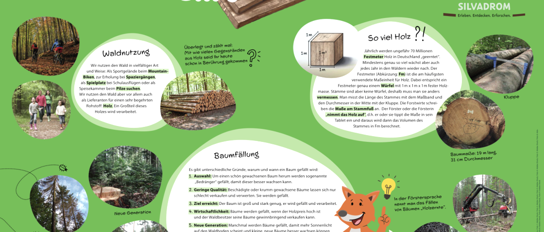 Groot informatiebord "Hout uit het bos"., © hochkant Groot informatiebord "Hout uit het bos" met informatie over bosgebruik, houtkap en houtkap.