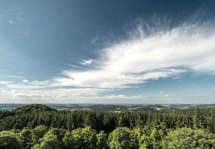 Panoramic view over the Eifel landscape of Gerolsteiner Land, © Eifel Tourismus GmbH, Dominik Ketz Extensive forest landscape with a view far to the horizon under a blue sky with a few clouds.