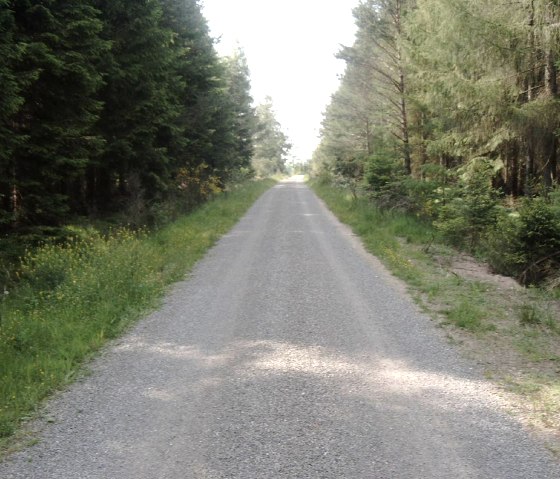 Römerstraße (2), © Touristik GmbH Gerolsteiner Land Römerstraße (2), © Touristik GmbH Gerolsteiner Land