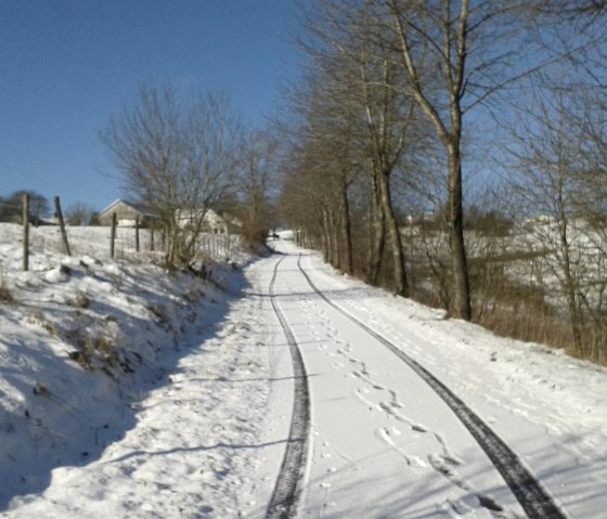 Winterlandschaft Winterlandschaft