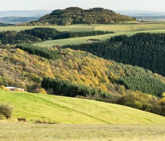 Aussicht auf den vulkanischen Mosenberg am VulkaMaar-Pfad, © Eifel Tourismus GmbH - D. Ketz Aussicht auf den vulkanischen Mosenberg am VulkaMaar-Pfad, © Eifel Tourismus GmbH - D. Ketz