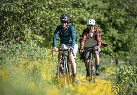 Cyclists on a cycle path
, © Eifel Tourismus GmbH, Dennis Stratmann Two cyclists dressed in sportswear ride along a cycle path beside a dense forest and flowering shrubs.