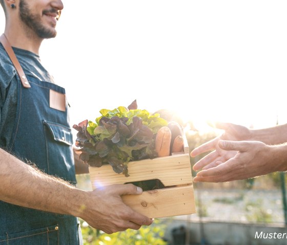 Musterbild, © Canva, Touristik GmbH Gerolsteiner Land Musterbild, © Canva, Touristik GmbH Gerolsteiner Land