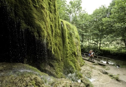 Kalkeifel fietspad: de Nohn waterval is een tussenstop waard, © Rheinland-Pfalz Tourismus GmbH/D. Ketz Kalkeifel fietspad: de Nohn waterval is een tussenstop waard, © Rheinland-Pfalz Tourismus GmbH/D. Ketz