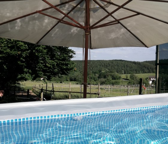 Pool mit Ausblick Pool mit Ausblick