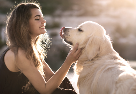 Een gelukkige vrouw aait haar witte golden retriever over zijn kop. De hond steekt zijn tong uit., © canva Een gelukkige vrouw aait haar witte golden retriever over zijn kop. De hond steekt zijn tong uit., © canva