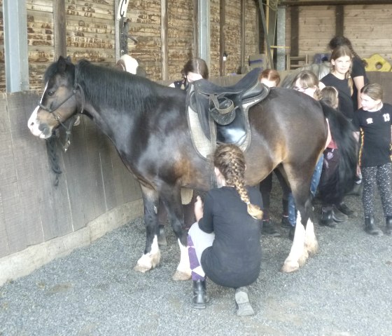 Vorbereitung für den Ausritt, © Ruth Mühlau und Petra Sieger Vorbereitung für den Ausritt, © Ruth Mühlau und Petra Sieger